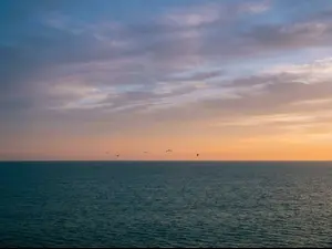 horizon